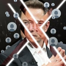 Elon Musk and his X followers